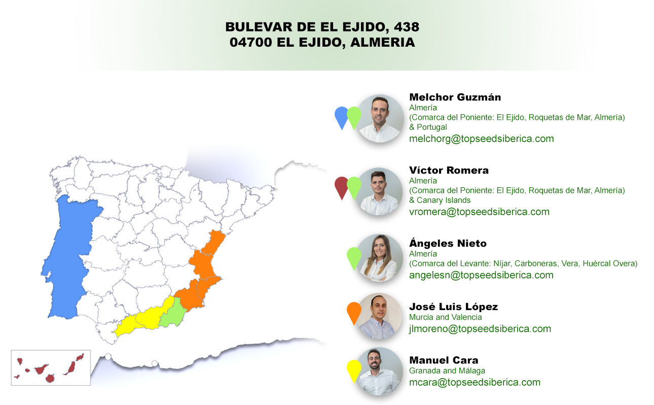 staff_spagna